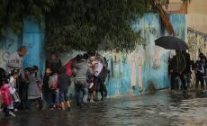 خبير زراعي: كمية الأمطار التي هطلت على غزة ستقضي على الآفات المنتشرة