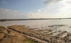 من اغراق الاحتلال للاراضي الزراعية شرق غزة