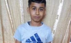 الطفل البيطار