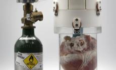 الإبقاء على قلب "شخص ميت" حي لـ24 ساعة.. إنجاز طبي جديد