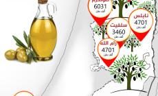 أعلى المحافظات إنتاجا لزيت الزيتون في 2019.