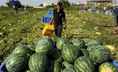 صورة "أرشيفية"