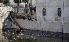 بركة السلطان إرث مملوكي حولها الاحتلال مكبا للنفايات