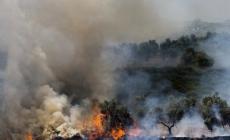 تقرير اممي : الأرض في خطر والبشر مهددون