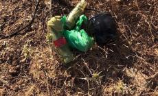 مواد زعم جيش الاحتلال انها كانت بحوزة المعتقلين