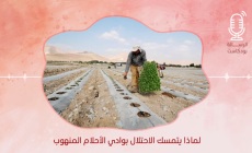 بودكاست.. لماذا يتمسك الاحتلال بوادي الأحلام المنهوب؟