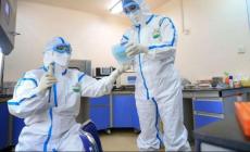 إصابات كورونا حول العالم تقترب من 25.5 مليون