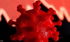 هل فات الأوان على احتواء سلالة كورونا المتحورة ؟