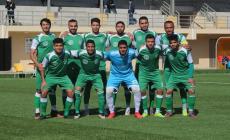 فريق اتحاد الشجاعية