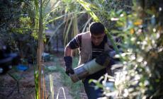 صورة من عمل فرق هندسة المتفجرات بالشرطة في تحييد خطر مخلفات الاحتلال بغزة