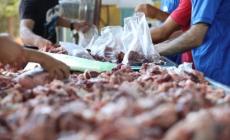 سعر الأضاحي في فلسطين2023،، عيد الأضحى 2023