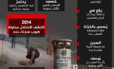 سجن جلبوع.jpg