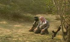 صورة "أرشيفية"