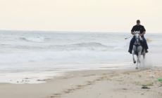 في ذكرى وفاء الأحرار || قريبا .. فيلم اللواء #انتاج_الرسالة