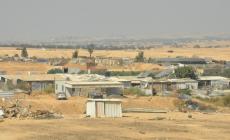 ارشيفية