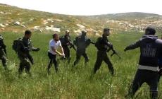 صورة "أرشيفية"