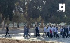 اقتحامات اليوم