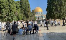 مستوطنون يؤدون طقوسهم داخل باحات المسجد الأقصى