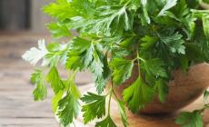 لكلى نظيفة.. تعرف على فوائد البقدونس والطريقة الصحيحة لاستخدامه