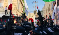 مجموعات عرين الأسود