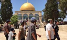 شاهد: عشرات المستوطنين يقتحمون المسجد الأقصى