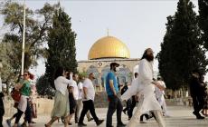 مستوطنون يقتحمون المسجد الأقصى بحماية قوات الاحتلال