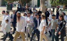 دعوات للنفير لحماية الأقصى من اقتحامات كبيرة يخطط لها المستوطنون