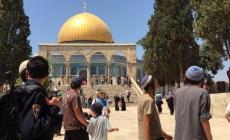 عشرات المستوطنين يقتحمون الأقصى بحماية شرطة الاحتلال