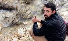 الشهيد طارق معالي