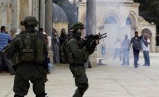 حصاد زخم للمقاومة في القدس خلال يناير