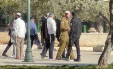 اقتحام الاقصى