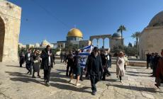 مستوطنون يقتحمون الأقصى صباح اليوم