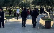 اقتحام الاقصى