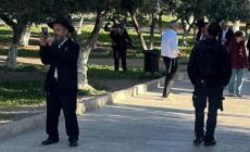 مستوطنون يقتحمون الأقصى