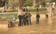 اقتحام الاقصى