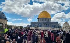 الاقصى اليوم