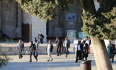 اقتحام الاقصى