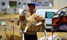 تعرف على موعد عيد الأضحى المبارك 2023.. متى عيد الأضحى 2023 فلكياً