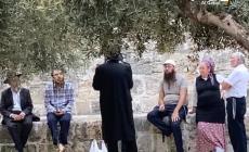 بالصور والفيديو/ مستوطنون يقتحمون باحات المسجد الأقصى
