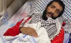 كايد الفسفوس