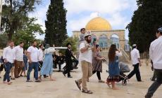 المستوطنون يقتحمون المسجد الأقصى في ثالث أيام عدوان العرش التوراتي