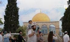 اقتحامات الأقصى الآن.