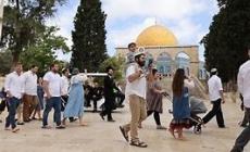 اقتحامات الأقصى اليوم.
