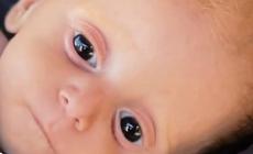 الطفل سعد الدين