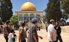 71 مستوطناً و11 طالباً يهودياً يقتحمون المسجد الأقصى تحت حماية قوات الاحتلال