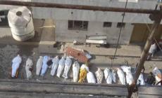 الصورة من باحات مستشفى كمال عدوان اليوم