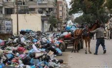 بلدية غزة تحذر من انهيار بيئي.jpeg