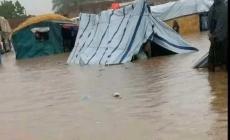 منظمة الصحة العالمية: الشتاء القاسي في غزة يزيد من معاناة النازحين