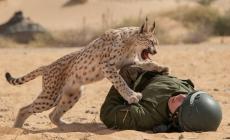 صورة تعبيرية