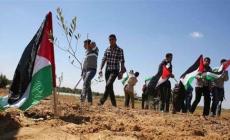 حماس في يوم الأرض